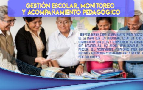 acompañamiento pedagogico en programas de formacion en servicio MINEDU