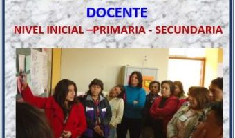 curso desempeño docente