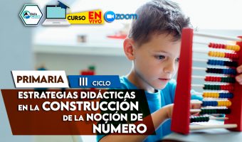 8 Estrategias didácticas en la construcción de la noción de número para el III ciclo