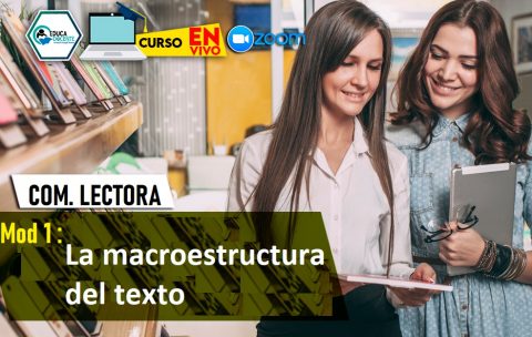 1 La macroestructura del texto