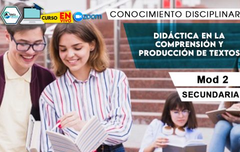 2 Didáctica en la comprensión y producción de textos