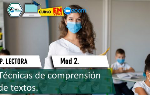 2 Técnicas de comprensión de textos