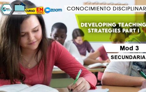 3 Developing teaching strategies part I