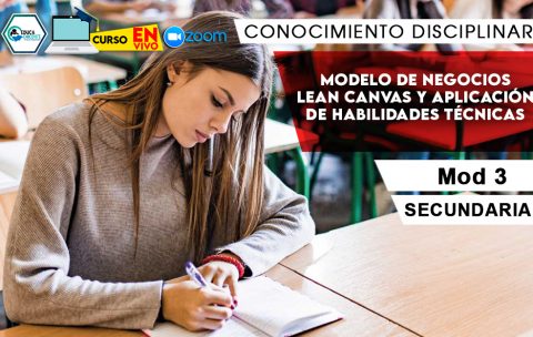 3 Modelo de negocios Lean Canvas y aplicación de habilidades técnicas
