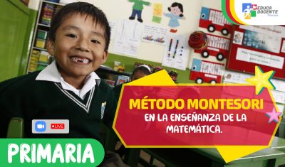 Primaria (4)