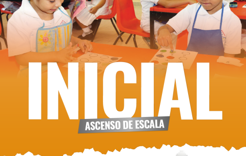 Mesa de trabajo 5