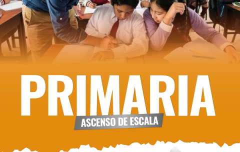 Mesa de trabajo 6