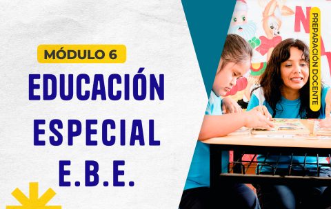 MODULO 6 EBE 2026