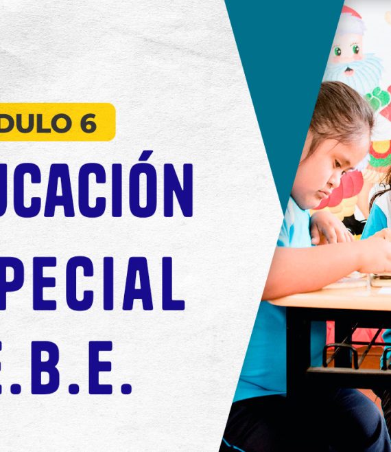 MODULO 6 EBE 2026
