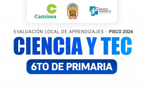 6TO CYT
