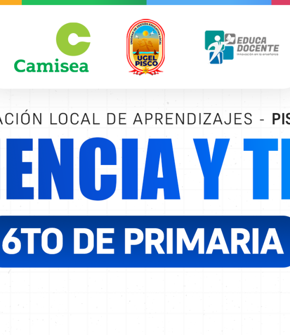 6TO CYT